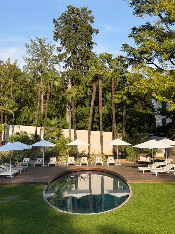 An outdoor pool surrounded by palms and white sun loungers